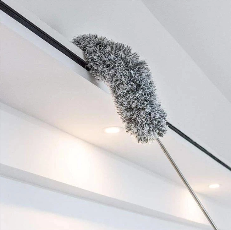 Pamatuf telescopic pentru praf si paianjeni