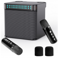 Boxa bluetooth portabila cu doua microfoane wireless, Karaoke, Bluetooth